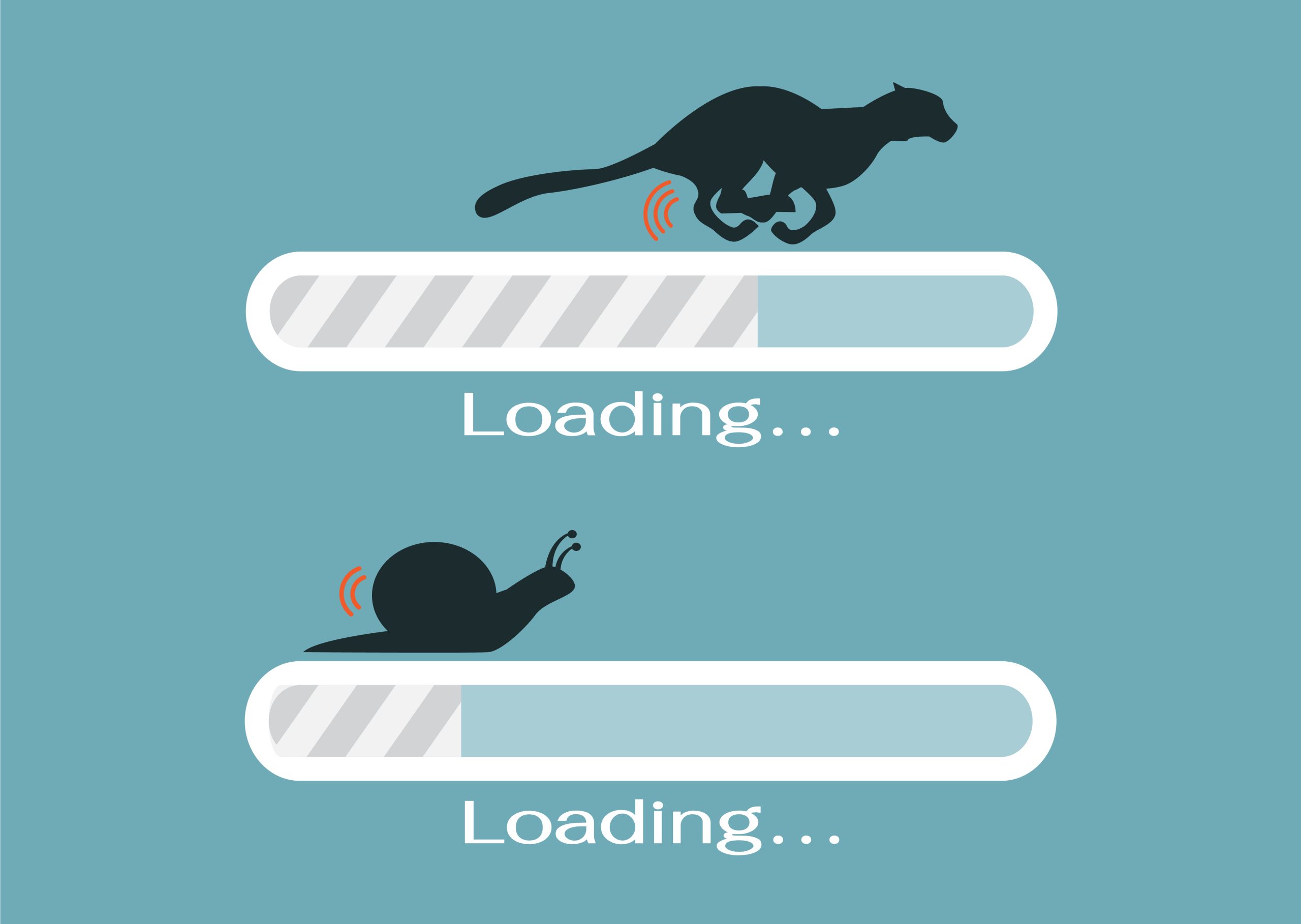 A graphic showing two loading bars. The top one, which is loading faster has the silhouette of a cheetah running. The bottom bar, which is much slower, has the silhouette of a snail.