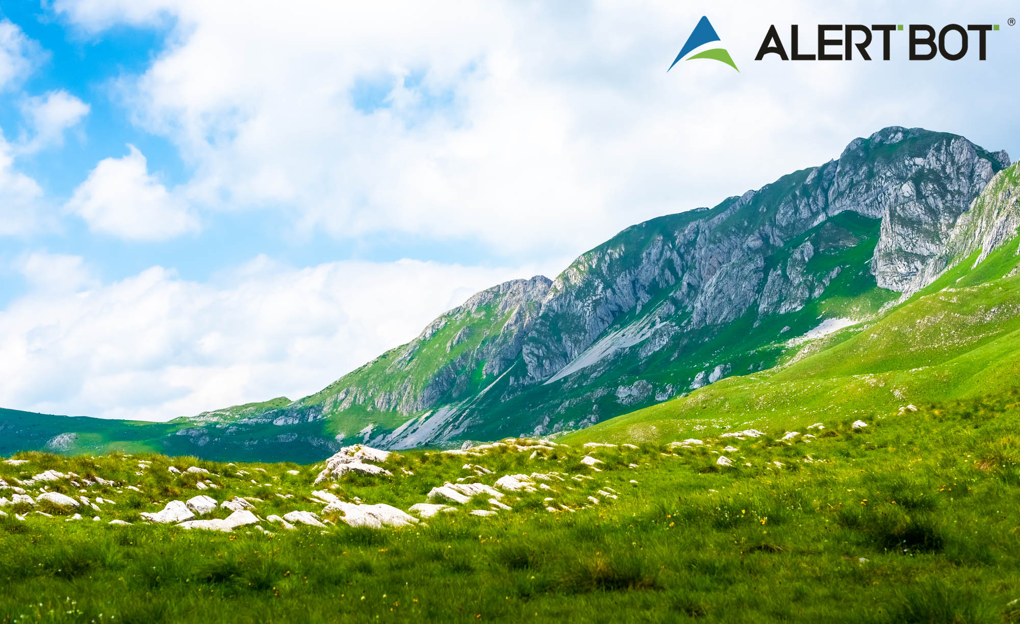 A beautiful photo of a grassy field with a mountain range in the background.